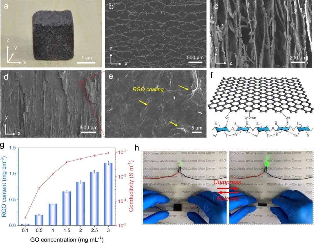 木材所王小青团队《ACS Sustain. Chem. Eng.》：高弹性、耐疲劳石墨烯包裹的层状木材海绵用于高性能压阻传感器