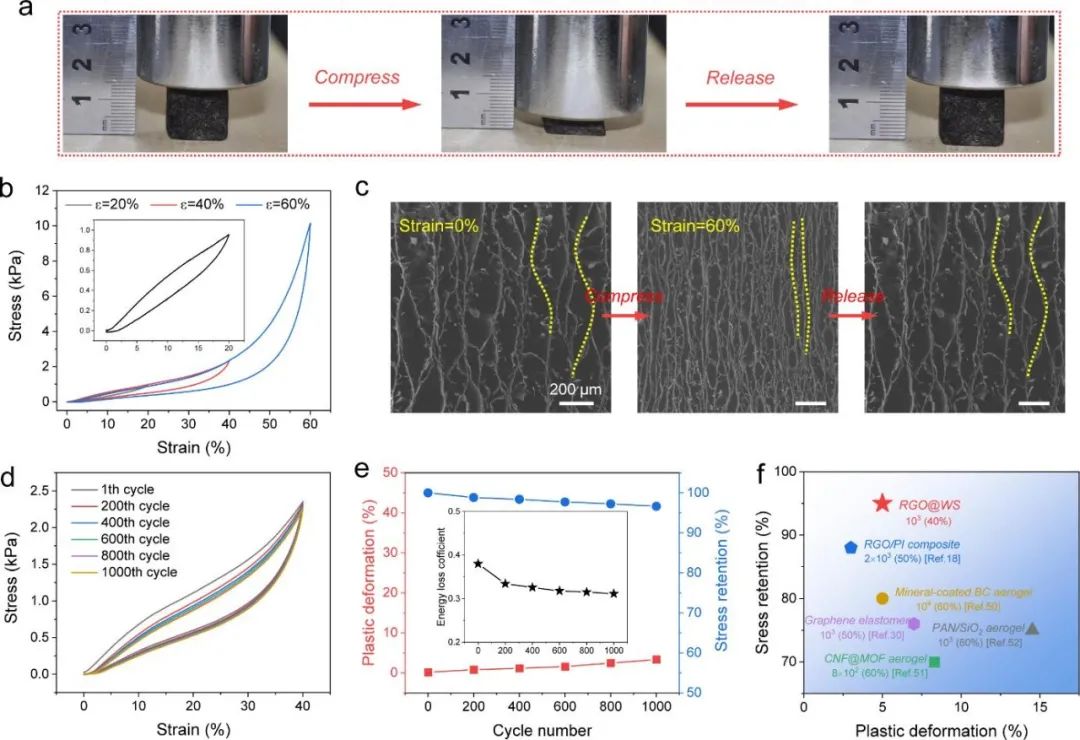 木材所王小青团队《ACS Sustain. Chem. Eng.》：高弹性、耐疲劳石墨烯包裹的层状木材海绵用于高性能压阻传感器