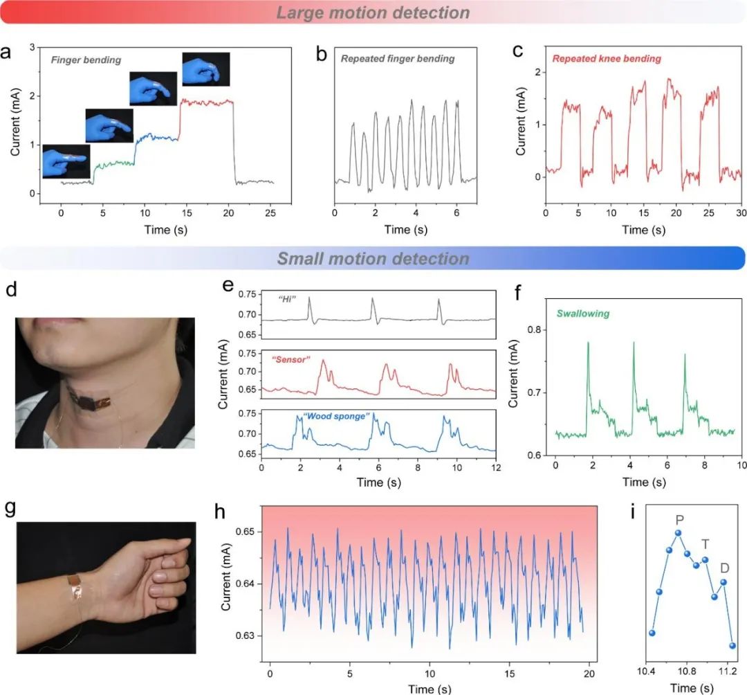 木材所王小青团队《ACS Sustain. Chem. Eng.》：高弹性、耐疲劳石墨烯包裹的层状木材海绵用于高性能压阻传感器