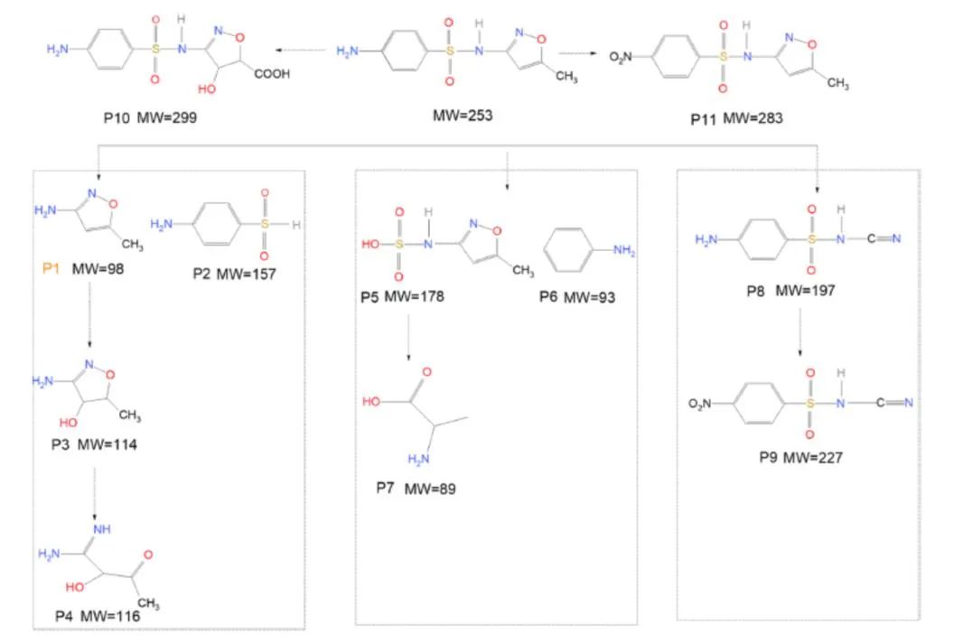 华东师大宋也男/孙卓《ACS AMI》：缺陷石墨烯薄膜用于臭氧催化氧化水中新诺明降解机理研究
