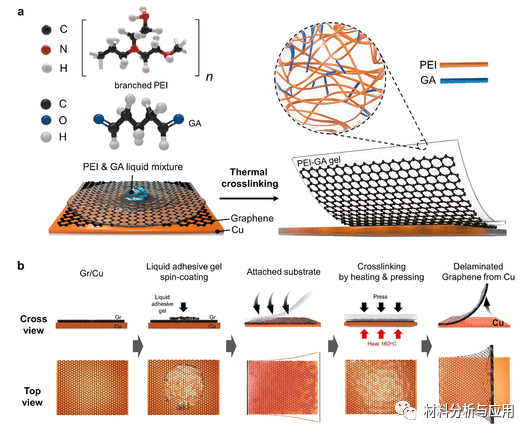 韩国成均馆大学《ACS Nano》：利用n-掺杂胶凝胶缓冲液实现无缺陷机械石墨烯转移