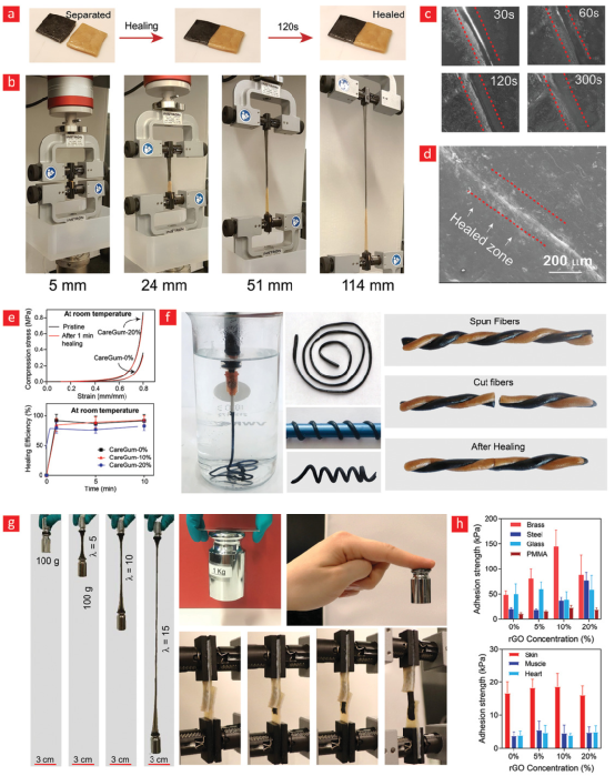 成本低、制备简单《AM》丹麦科技大学用蚕丝加点石墨烯，一个牢不可破的水凝胶仿生材料诞生