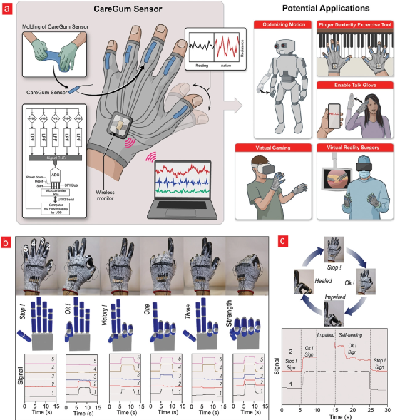 成本低、制备简单《AM》丹麦科技大学用蚕丝加点石墨烯，一个牢不可破的水凝胶仿生材料诞生