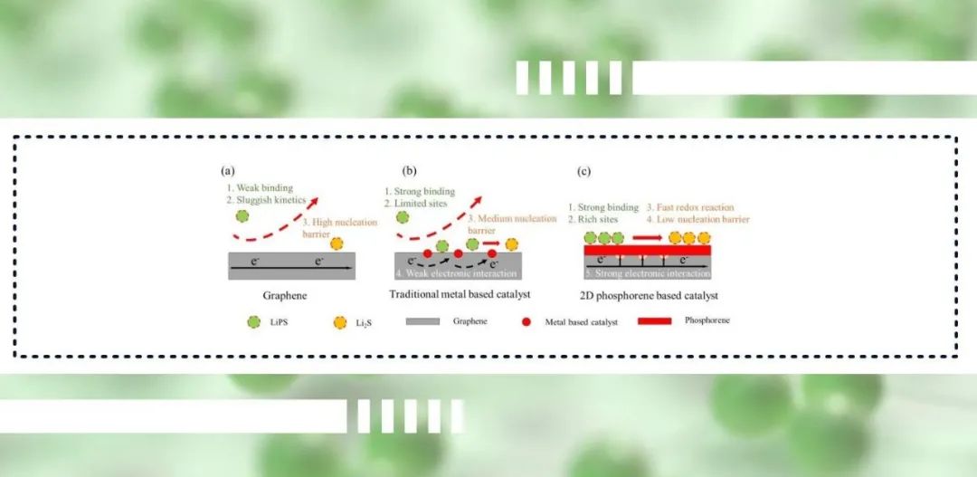 【人物与科研】西安交通大学唐伟教授课题组Adv. Funct. Mater.：基于磷烯/石墨烯包覆协同催化的贫电解质锂硫电池