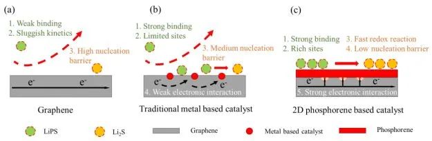 【人物与科研】西安交通大学唐伟教授课题组Adv. Funct. Mater.：基于磷烯/石墨烯包覆协同催化的贫电解质锂硫电池
