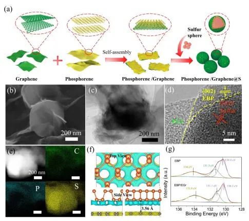 【人物与科研】西安交通大学唐伟教授课题组Adv. Funct. Mater.：基于磷烯/石墨烯包覆协同催化的贫电解质锂硫电池