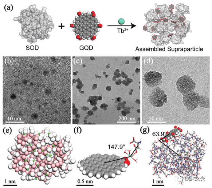 AM：金属桥接的石墨烯-蛋白超粒子用于对一氧化氮进行数字化传感