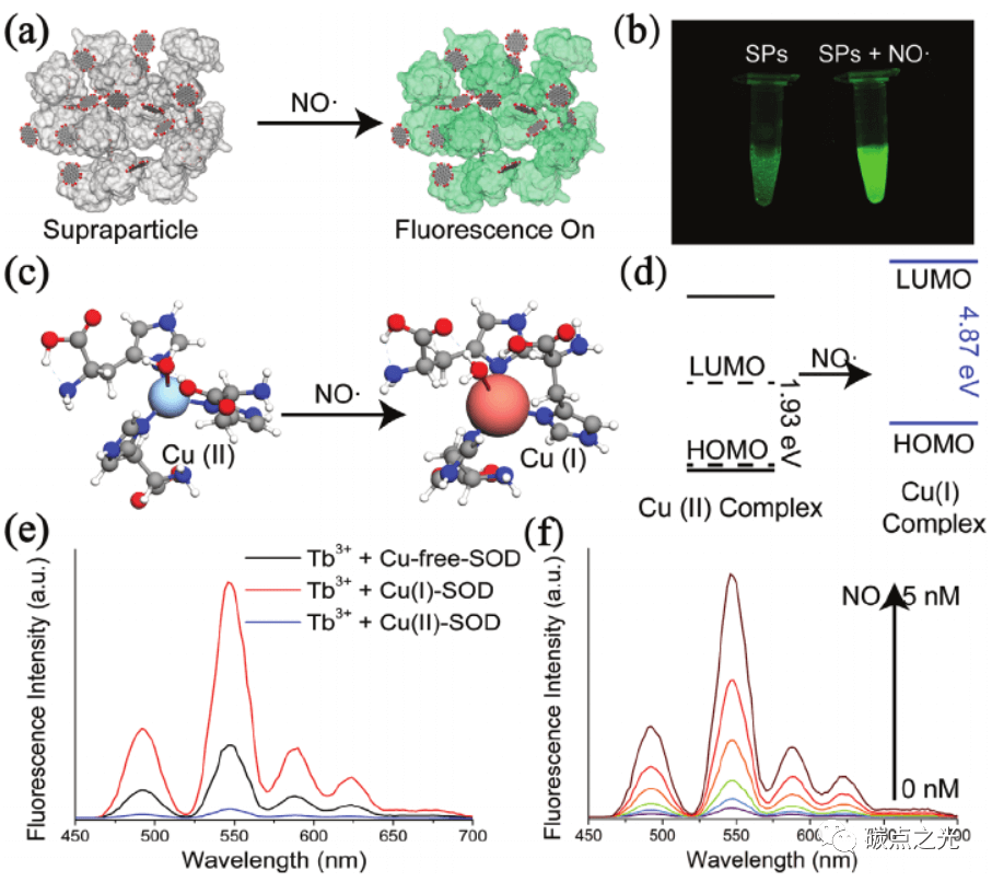 AM：金属桥接的石墨烯-蛋白超粒子用于对一氧化氮进行数字化传感