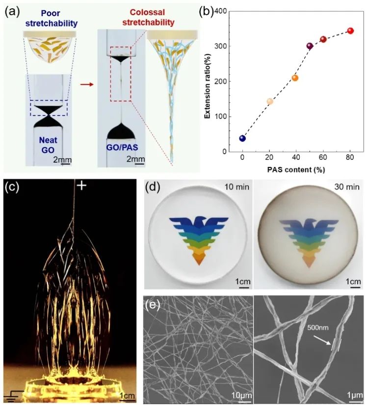 Adv. Fiber Mater.报道最新成果：静电纺丝法制备纯石墨烯纳米纤维