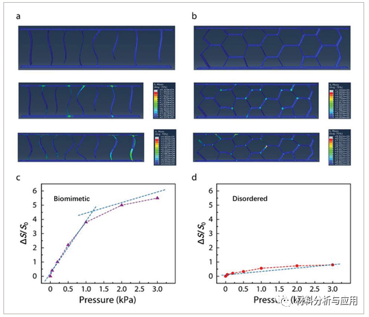 浙江工业大学《ADV MATER INTERFACES》受蜘蛛蓬松腿启发的石墨烯气凝胶，用于高灵敏度压力传感器
