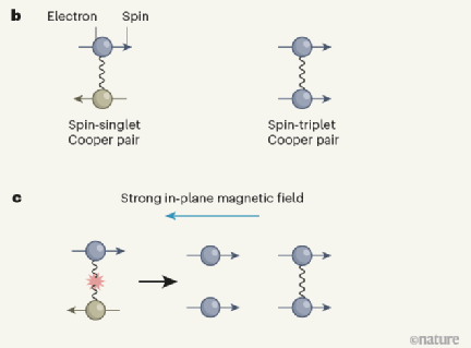 曹原，又一篇Nature！