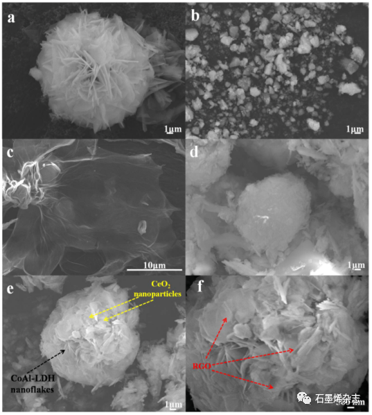 辽宁师范大学和汕头大学-- 用CeO2和RGO改性的花状CoAl层状双氢氧化物作为CO2还原的高效光催化剂