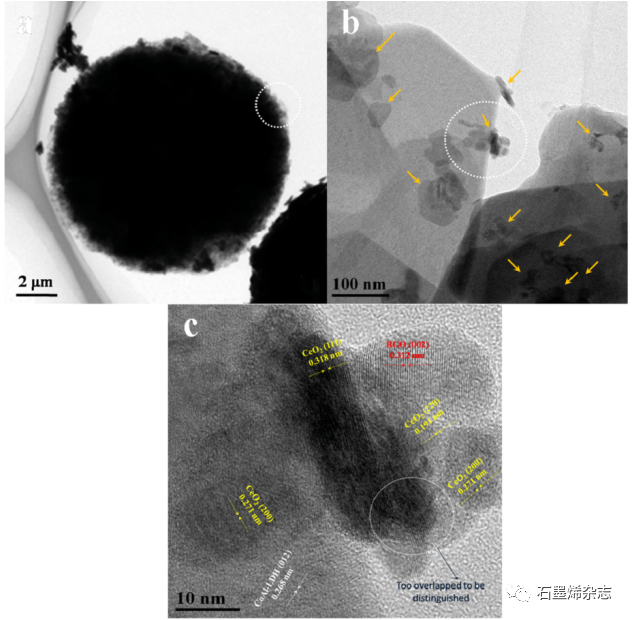 辽宁师范大学和汕头大学-- 用CeO2和RGO改性的花状CoAl层状双氢氧化物作为CO2还原的高效光催化剂