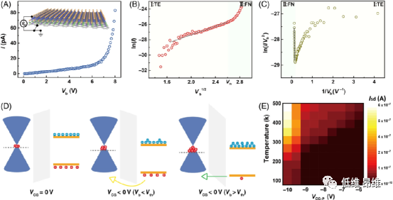 Infomat：量身定制范德华异质结的能带，用于多级存储和人工突触