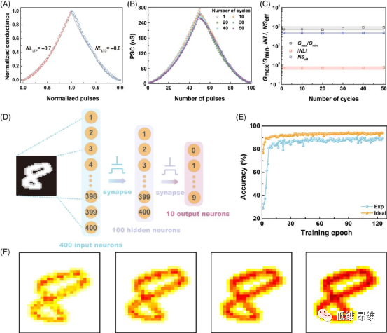 Infomat：量身定制范德华异质结的能带，用于多级存储和人工突触