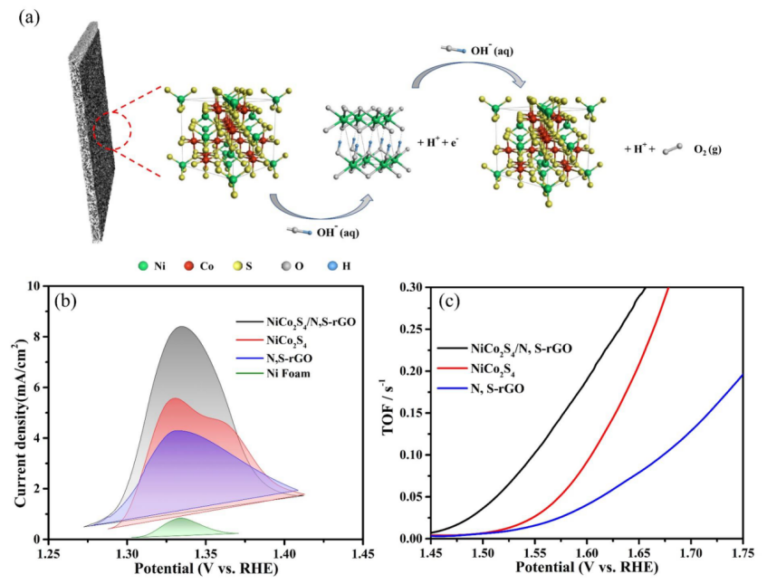 石河子大学陈龙团队：一种新型的分层多孔NCS/N，S共掺杂还原型氧化石墨烯复合材料（NCS/NS-rGO）全解水电催化剂