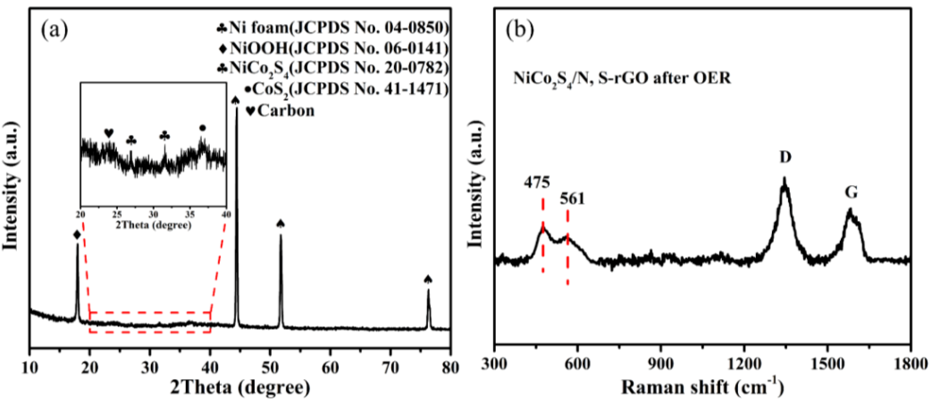 石河子大学陈龙团队：一种新型的分层多孔NCS/N，S共掺杂还原型氧化石墨烯复合材料（NCS/NS-rGO）全解水电催化剂