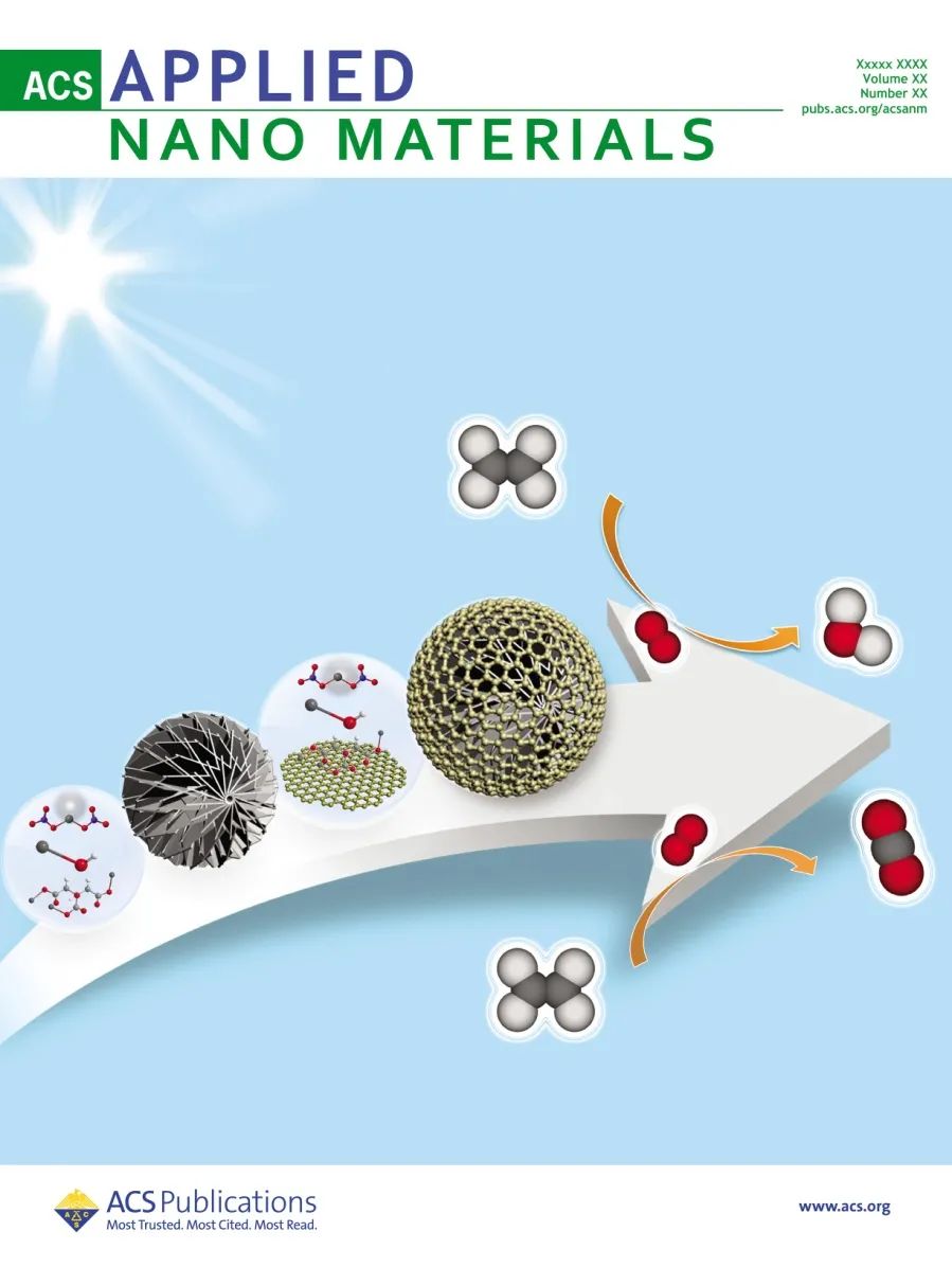 泉州师院潘晓阳教授团队《ACS Appl. Nano Mater.》：氧化石墨烯调控ZnO多级分支结构和光催化性能
