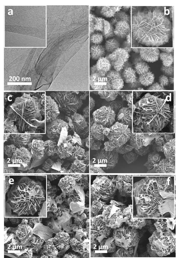 泉州师院潘晓阳教授团队《ACS Appl. Nano Mater.》：氧化石墨烯调控ZnO多级分支结构和光催化性能