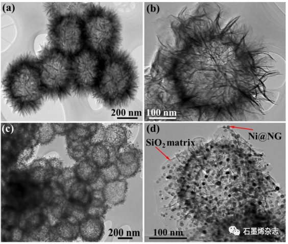 国立台湾科技大学Jong-Sung Yu课题组--单层N掺杂石墨烯包封镍纳米颗粒的自限性生长用于高效产氢