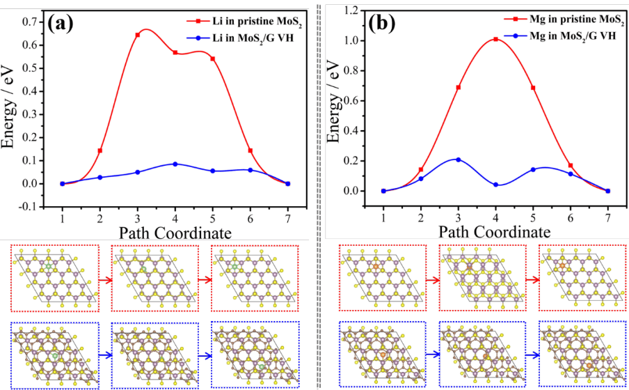 哈工大：基于MoS2/石墨烯范德华异质结构建高性能镁锂混合离子电池