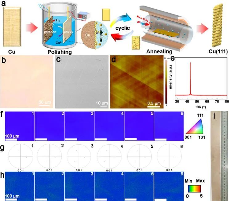 中科院化学所刘云圻院士课题组《Adv. Mater.》：大面积电学均匀纯单层单晶石墨烯