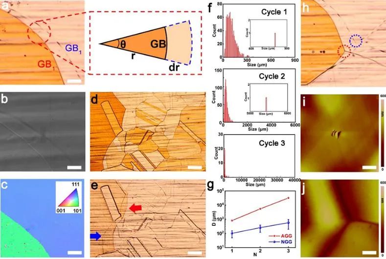 中科院化学所刘云圻院士课题组《Adv. Mater.》：大面积电学均匀纯单层单晶石墨烯