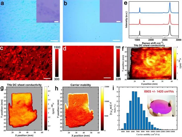 中科院化学所刘云圻院士课题组《Adv. Mater.》：大面积电学均匀纯单层单晶石墨烯