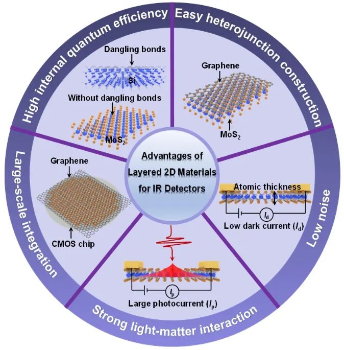 香港城市大学谭超良教授课题组《Adv. Funct. Mater.》综述：基于二维材料和纳米光子学的红外探测器