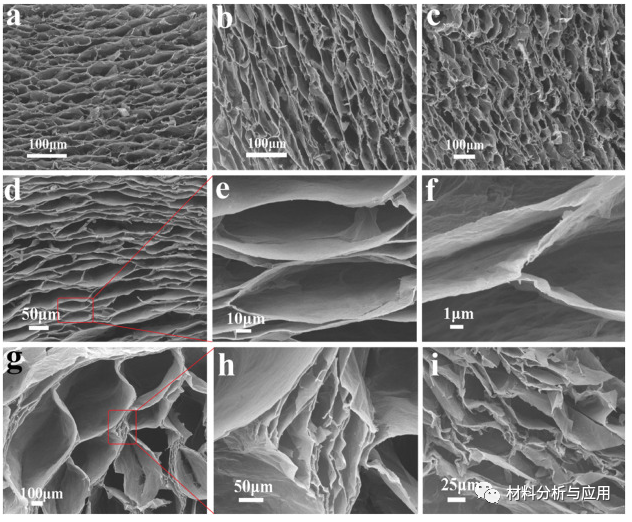 兰州化物所《Carbon》：双壁蜂窝状石墨烯气凝胶，用于超灵敏指尖脉搏监测