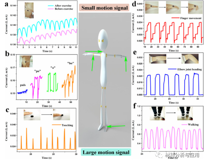 兰州化物所《Carbon》：双壁蜂窝状石墨烯气凝胶，用于超灵敏指尖脉搏监测