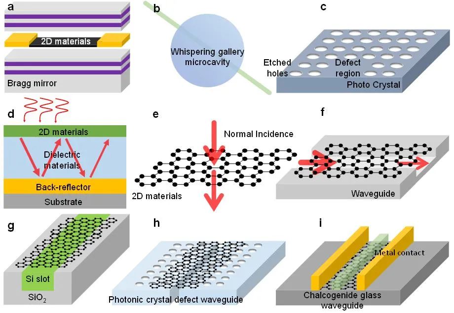 香港城市大学谭超良教授课题组《Adv. Funct. Mater.》综述：基于二维材料和纳米光子学的红外探测器