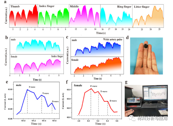 兰州化物所《Carbon》：双壁蜂窝状石墨烯气凝胶，用于超灵敏指尖脉搏监测