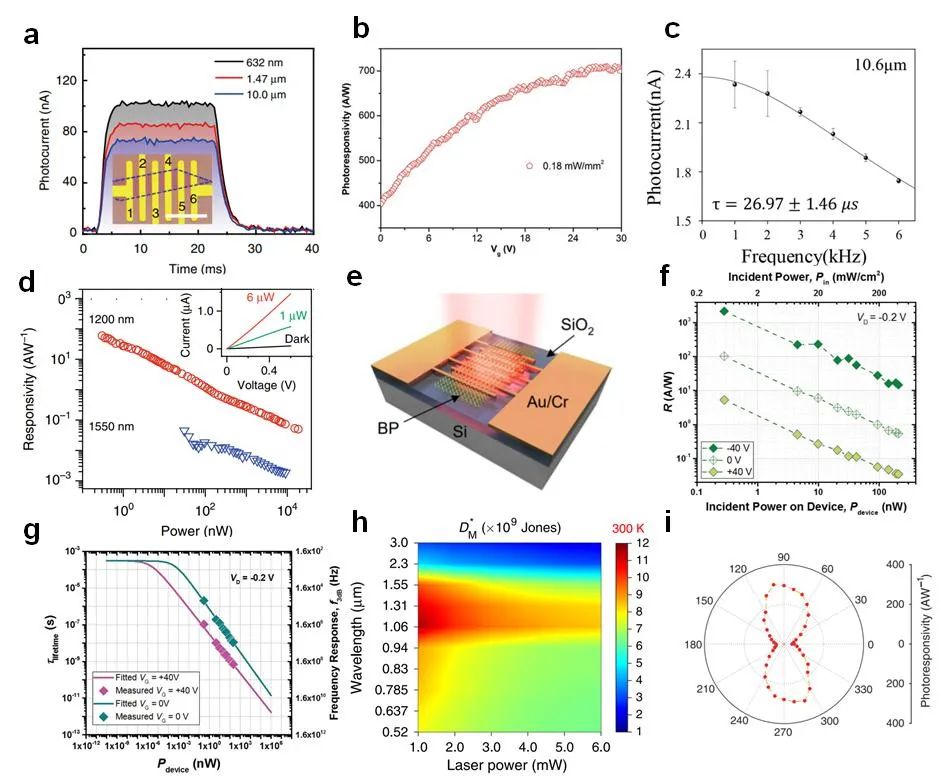 香港城市大学谭超良教授课题组《Adv. Funct. Mater.》综述：基于二维材料和纳米光子学的红外探测器