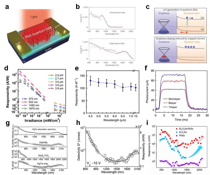 香港城市大学谭超良教授课题组《Adv. Funct. Mater.》综述：基于二维材料和纳米光子学的红外探测器