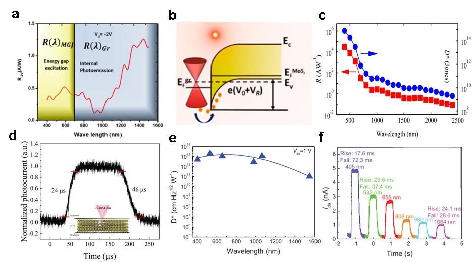 香港城市大学谭超良教授课题组《Adv. Funct. Mater.》综述：基于二维材料和纳米光子学的红外探测器