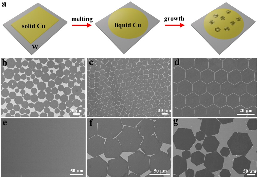 可视化液态铜生长石墨烯