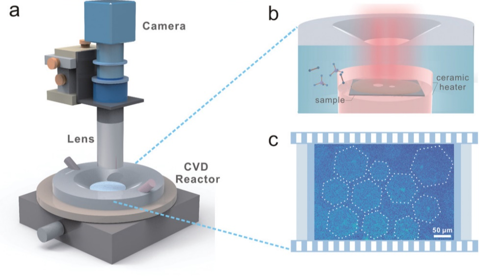 可视化液态铜生长石墨烯