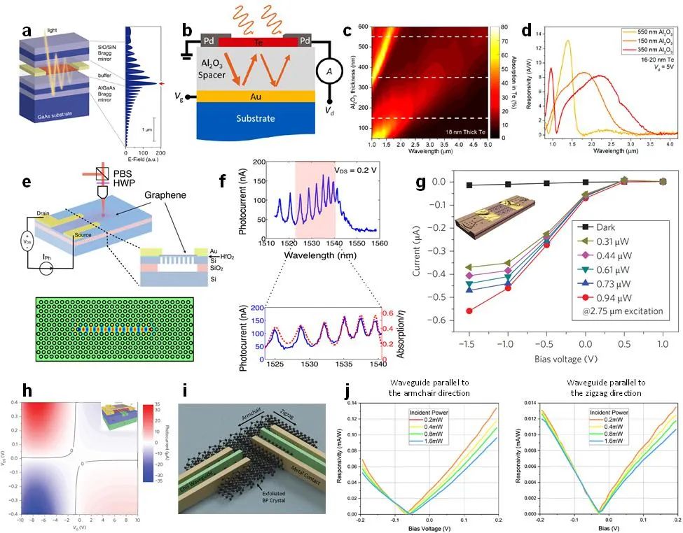 香港城市大学谭超良教授课题组《Adv. Funct. Mater.》综述：基于二维材料和纳米光子学的红外探测器