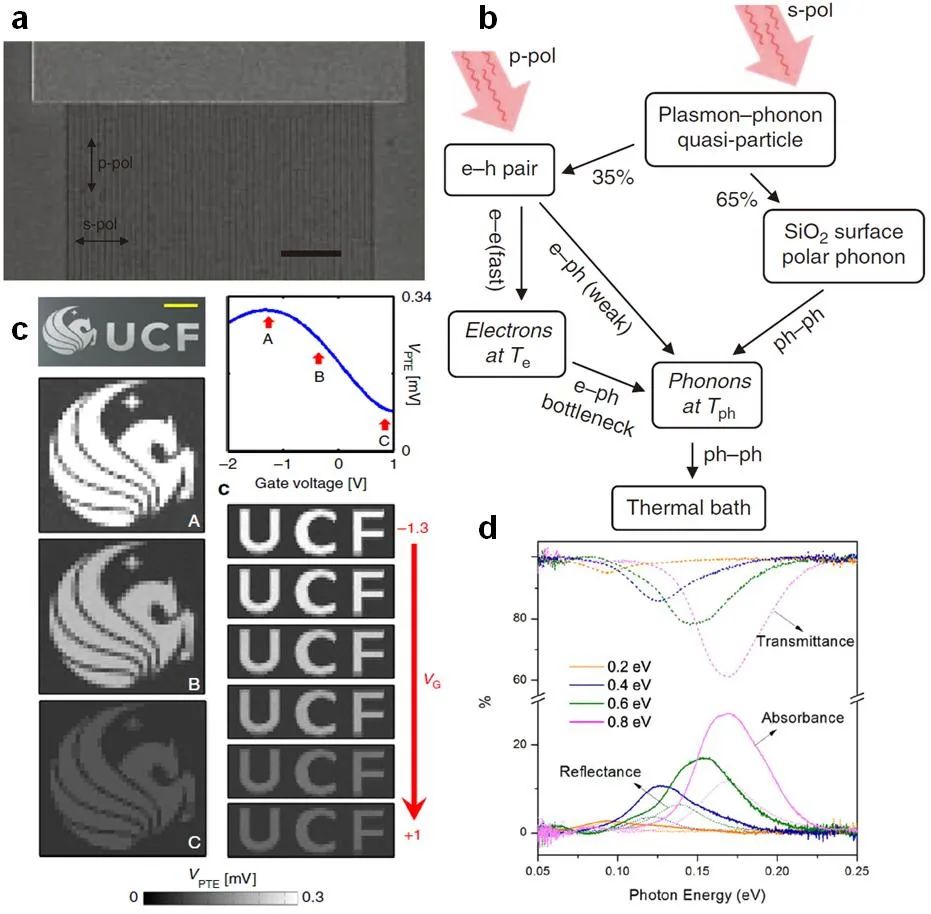 香港城市大学谭超良教授课题组《Adv. Funct. Mater.》综述：基于二维材料和纳米光子学的红外探测器