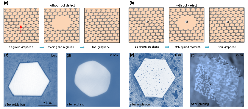 Nano Res.│华南师范大学徐小志课题组与北京大学刘开辉课题组：铜上超纯石墨烯制备