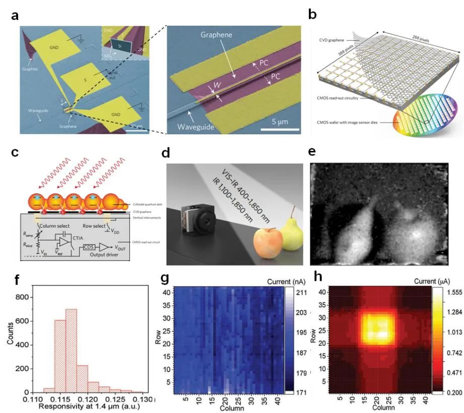 香港城市大学谭超良教授课题组《Adv. Funct. Mater.》综述：基于二维材料和纳米光子学的红外探测器