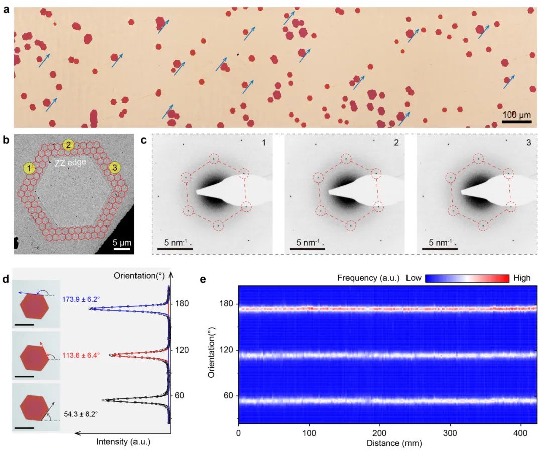 刘忠范院士团队 ACS Nano：A3尺寸石墨烯单晶薄膜的外延生长