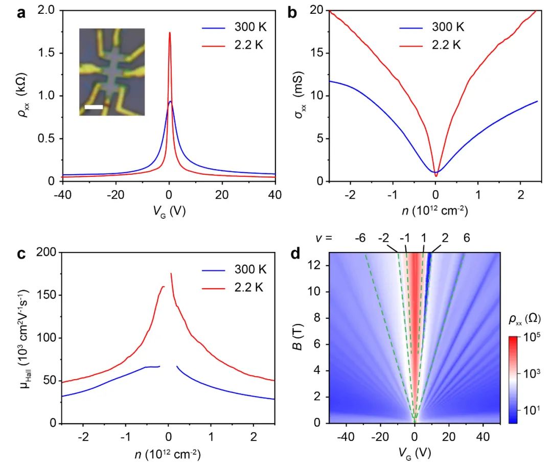 刘忠范院士团队 ACS Nano：A3尺寸石墨烯单晶薄膜的外延生长