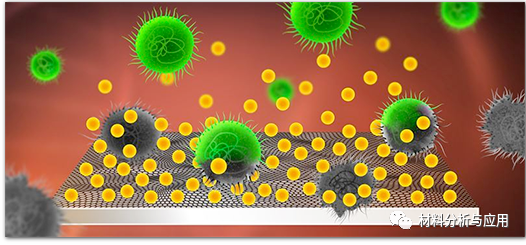 瑞典查尔姆斯理工大学：石墨烯与抗菌分子结合可杀死医疗植入物上细菌的药物