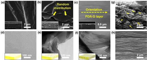 宁波材料所余海斌团队《ACS Nano》：珍珠层状低缺陷石墨烯/环氧防腐涂层！