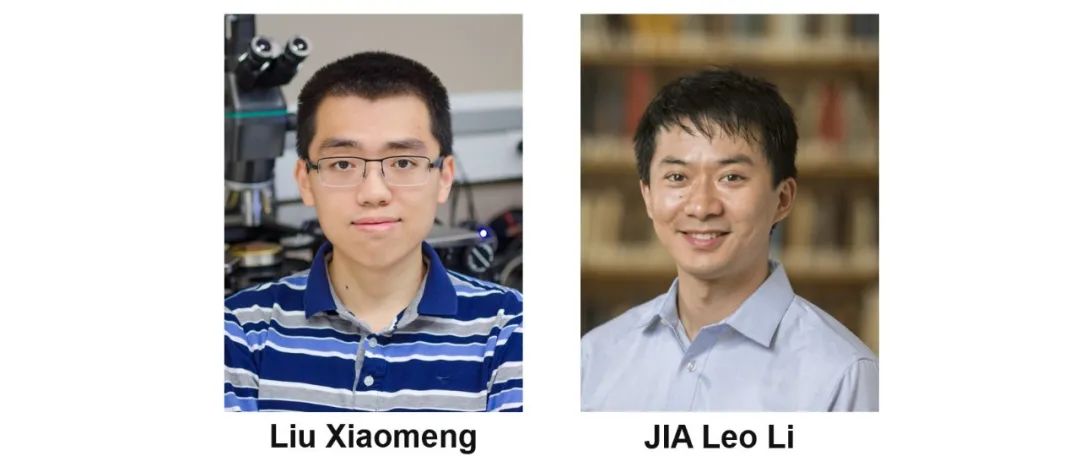石墨烯又一篇Science！中国青年学者联手打造