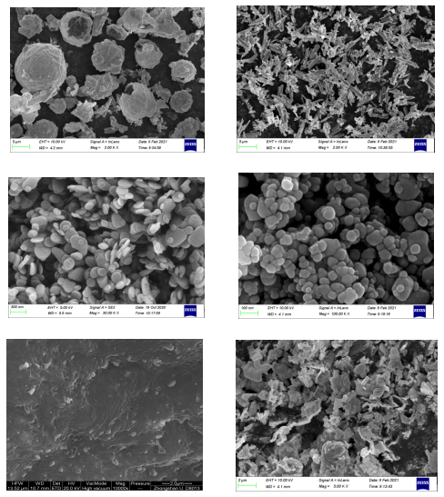 鸿志新材方利浮 | 以硫酸加碳酸钡的工艺 开创沉淀硫酸钡新格局
