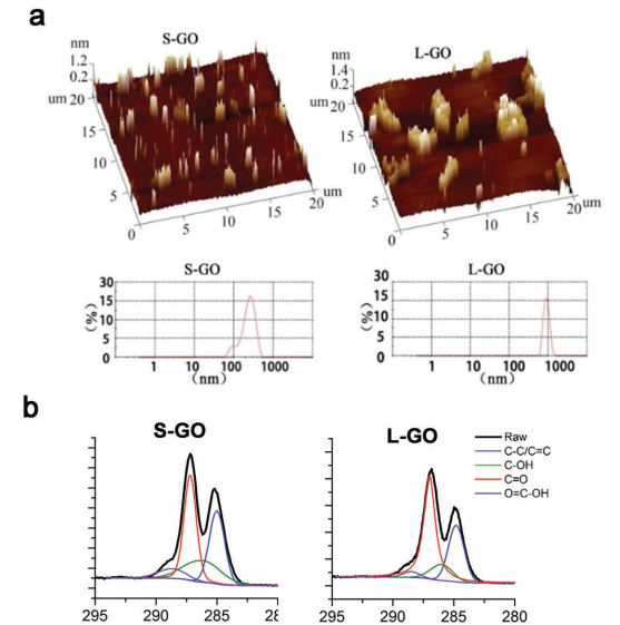 Adv. Mater：大尺寸氧化石墨烯纳米片可增加DC-T细胞突触接触和DC疫苗对抗SARS-CoV-2的性能