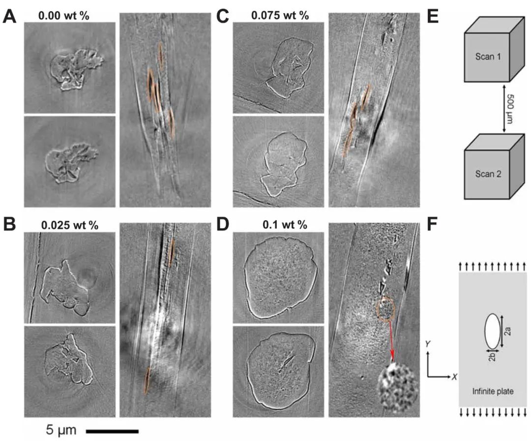Science Advances：石墨烯增强碳纤维！